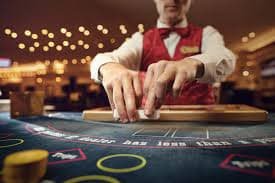 Live dealer blackjack table with multi-camera feeds